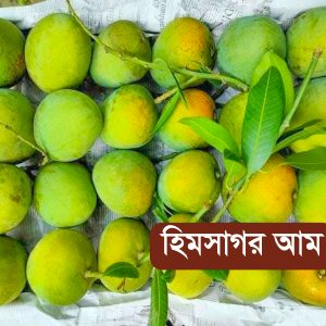 20 KG সাতক্ষীরার হিমসাগর আম হোম ডেলিভারি