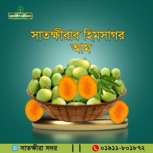 5 KG সাতক্ষীরার হিমসাগর আম