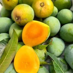 20 KG সাতক্ষীরার হিমসাগর আম হোম ডেলিভারি