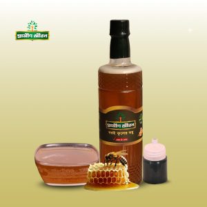 Plum Flower Honey - বরই ফুলের মধু — ১০০% খাঁটি প্রাকৃতিক | গ্রামীণ জীবন